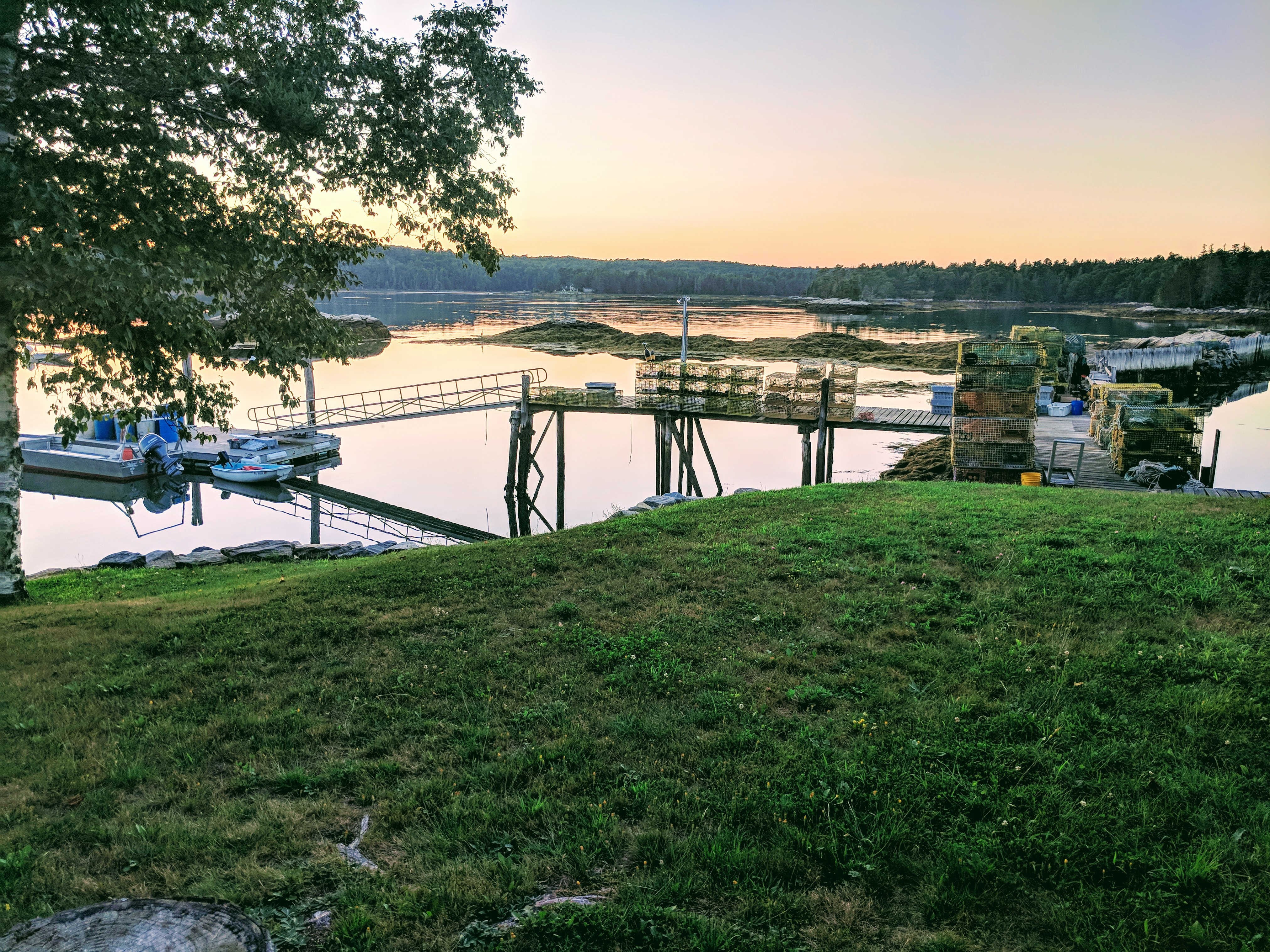 View from Hamilton Cottage