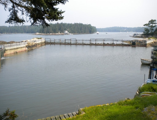 The Lobster Pound